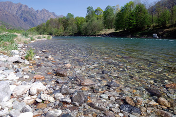 summer river landscape