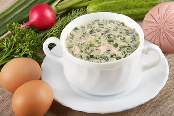Cold vegetable soup with kvas and mayonnaise