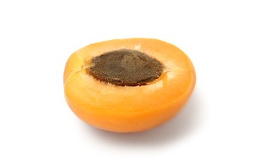 Close-up of fruit