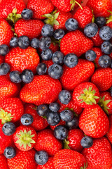 Fototapeta premium Strawberries and Blueberries