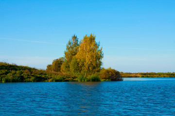 Beautiful nature, autumn , river and tree