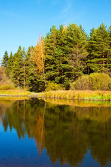 Beautiful nature, autumn.