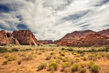 Red Canyon at Snow Canyon, Utah