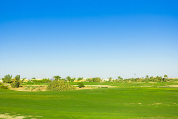 Lonesome Acres Of Green