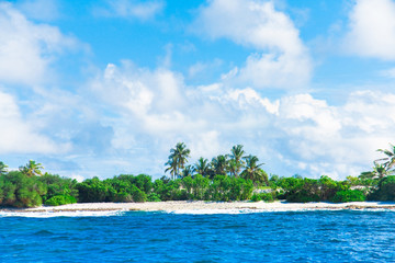 Beauty Scene Paradise