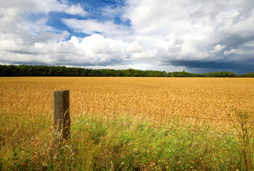 fence post and hay field