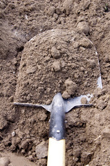 Shovel in the ground