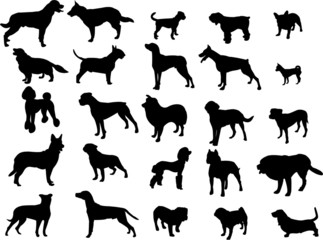 dogs silhouette collection - vector