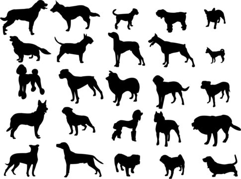 dogs silhouette collection - vector