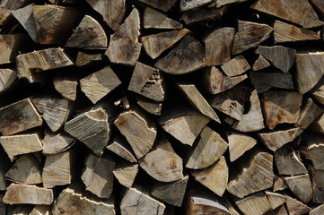 Holzscheite / Brennholz