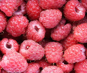 Fresh red raspberry. Nature background