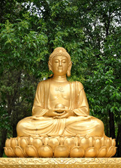 golden buddha statue meditating