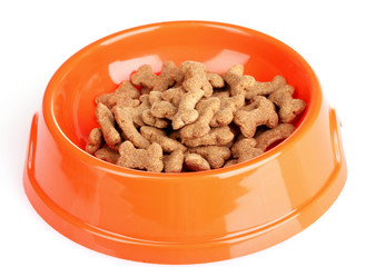 dog food isolated on white