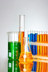 test tubes in the laboratory on a gray background