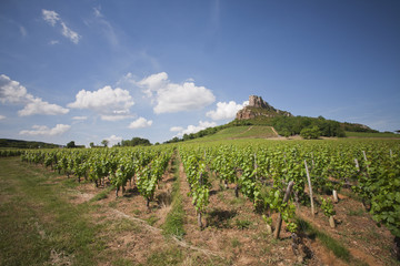 Pouilly Fuissé