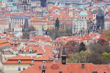 The View on the Prague's gothic Castle and Buildings