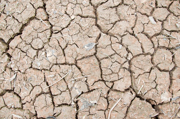 cracked soil