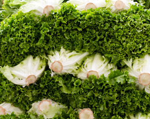 Green leaf lettuce on display