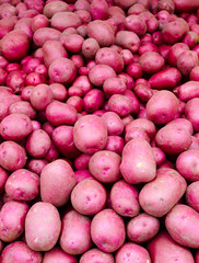 Red potatoes on display