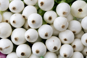 White onions on display