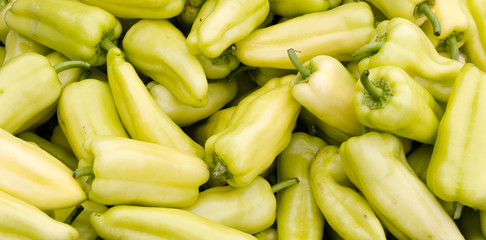 Yellow bell peppers on display
