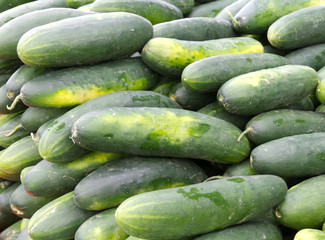 Cucumbers on display