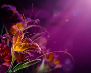 Photo sur Aluminium Nénuphars abstract floral background.With copy-space