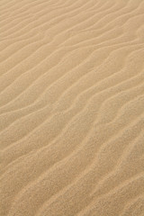 鳥取砂丘の風紋