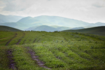 Wheel track to the mountains