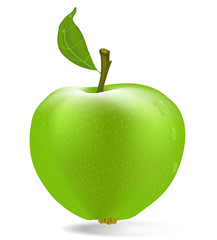 vector green apple with drops of dew