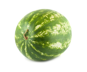 Water melon