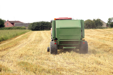 harvest time