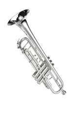 Obraz premium Silver Trumpet