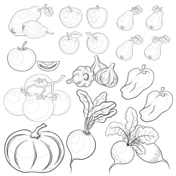 Vegetables and fruits, outline, set