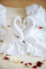 Towel swans left by a hotel room service