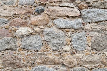 texture that shows the details of the construction of a wall..