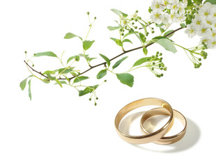 wedding rings and white flowers