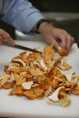 Girolles