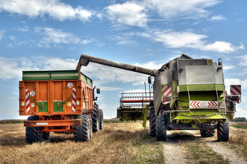 Obraz premium Le temps des moissons