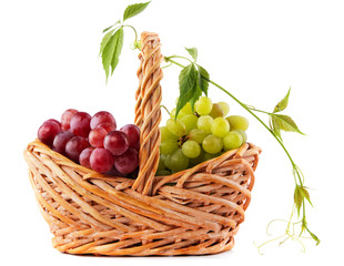 Wicker basket with grapes