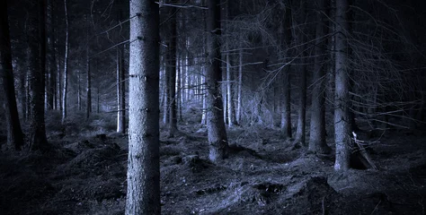 Deurstickers Spookachtig bos © Pink Badger