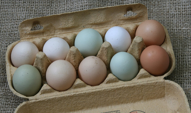 Eier im Eierkarton