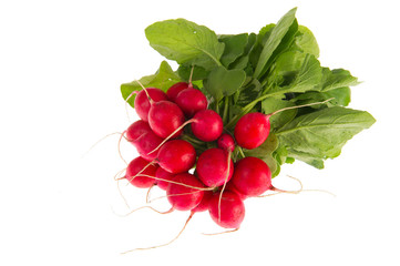 Red radish