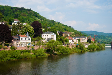 Fototapeta na wymiar Neckar river and Heidelberg coastline