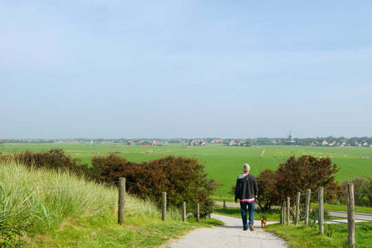 Walking in Dutch nature