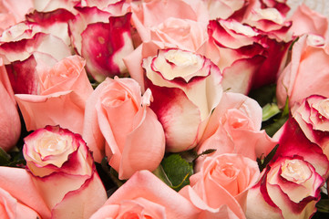 a bouquet of roses