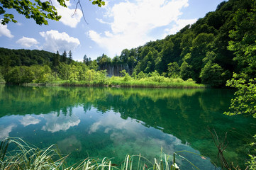 Fototapeta premium Beautiful lake in forest, Plitvice, Croatia