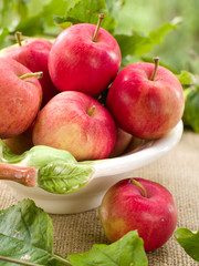apples