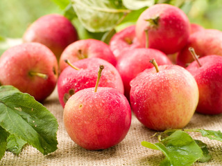 apples