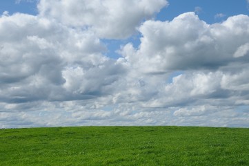 Ciel nuageux et herbe verte